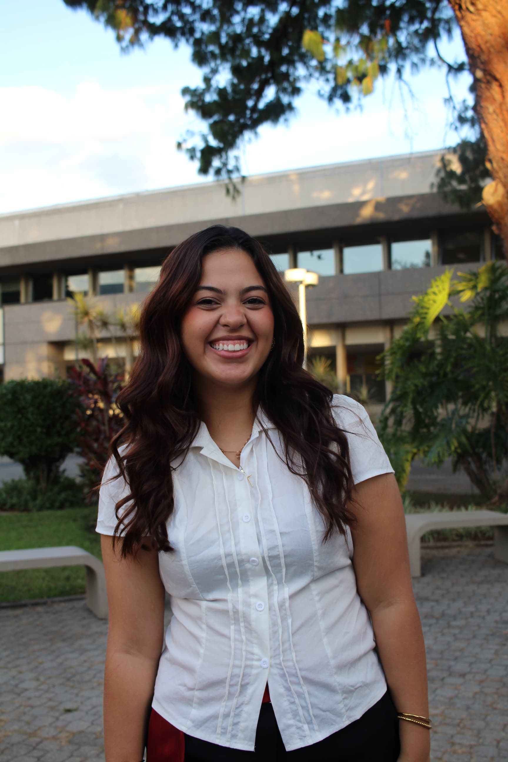 Ana Luisa Brito
